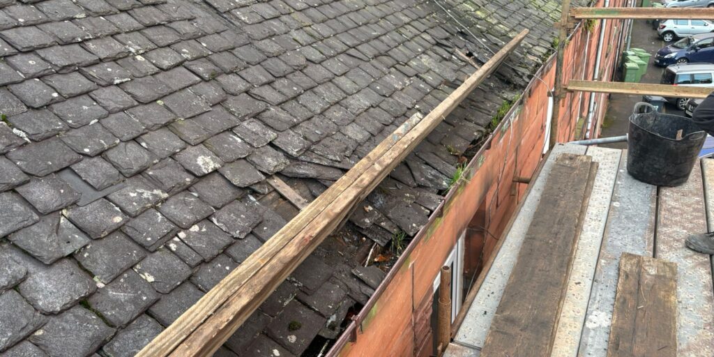 WhatsApp Image 2026-02-23 at 09.36.15